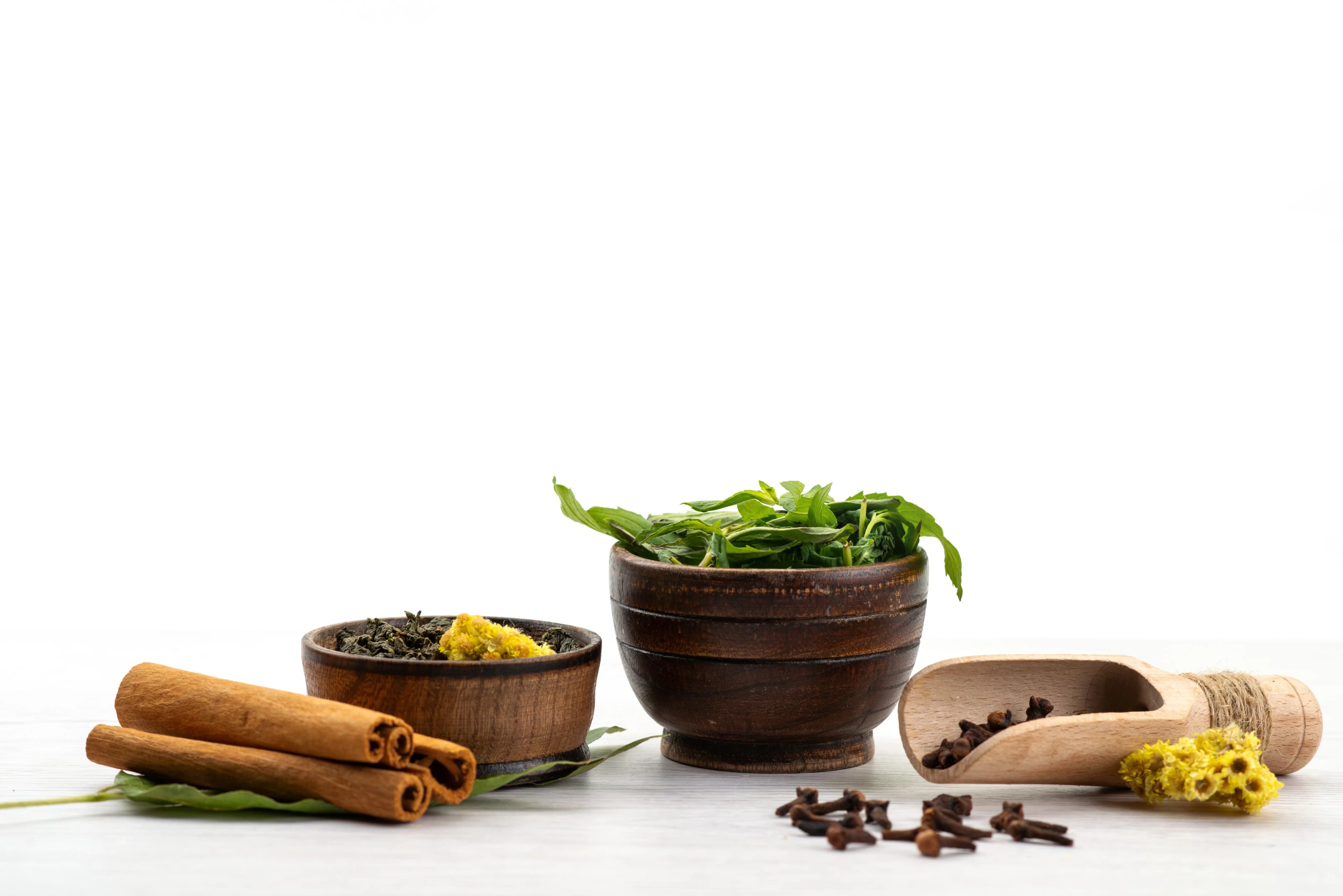 Building a Profitable Ayurvedic PCD Pharma Franchise Business in India